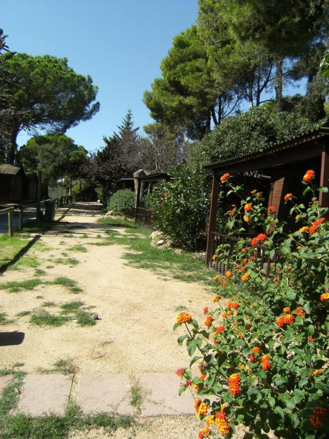 Bungalows Club Aire Libre Tossa de Mar Dış mekan fotoğraf